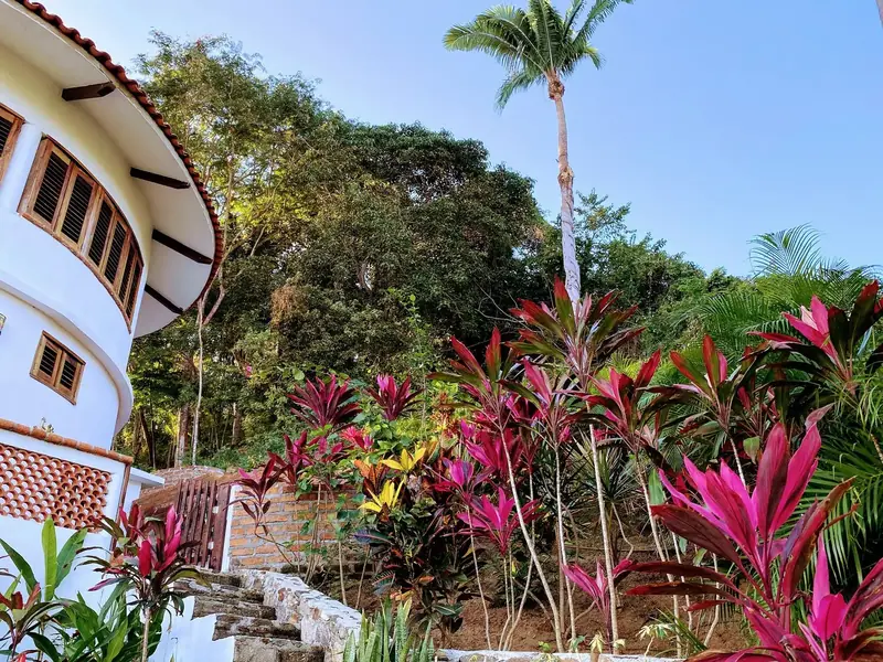 The house and its gardens