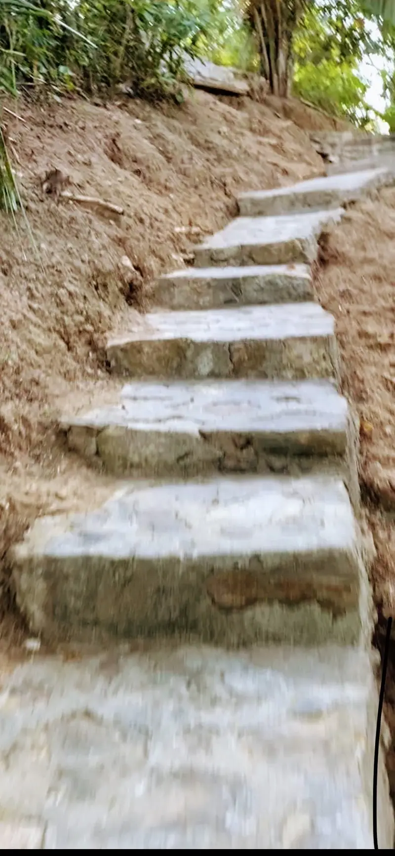 Stone steps up through the jungle, Casa Gratitud, Yelapa