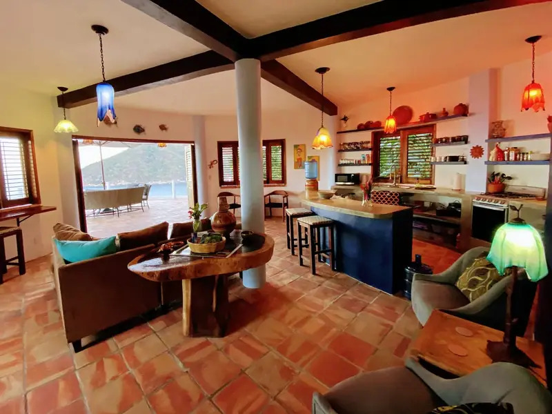 Open living room and kitchen