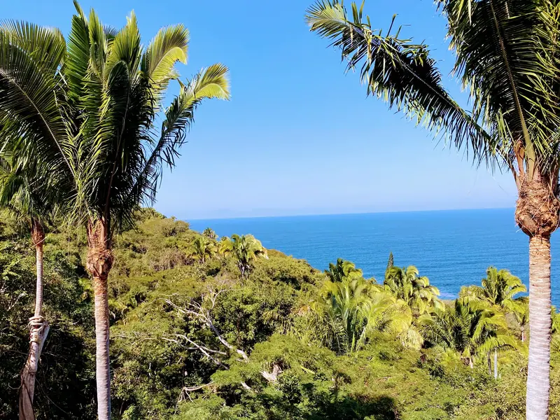 Palms and open ocean from the house, Casa Gratitud, Yelapa